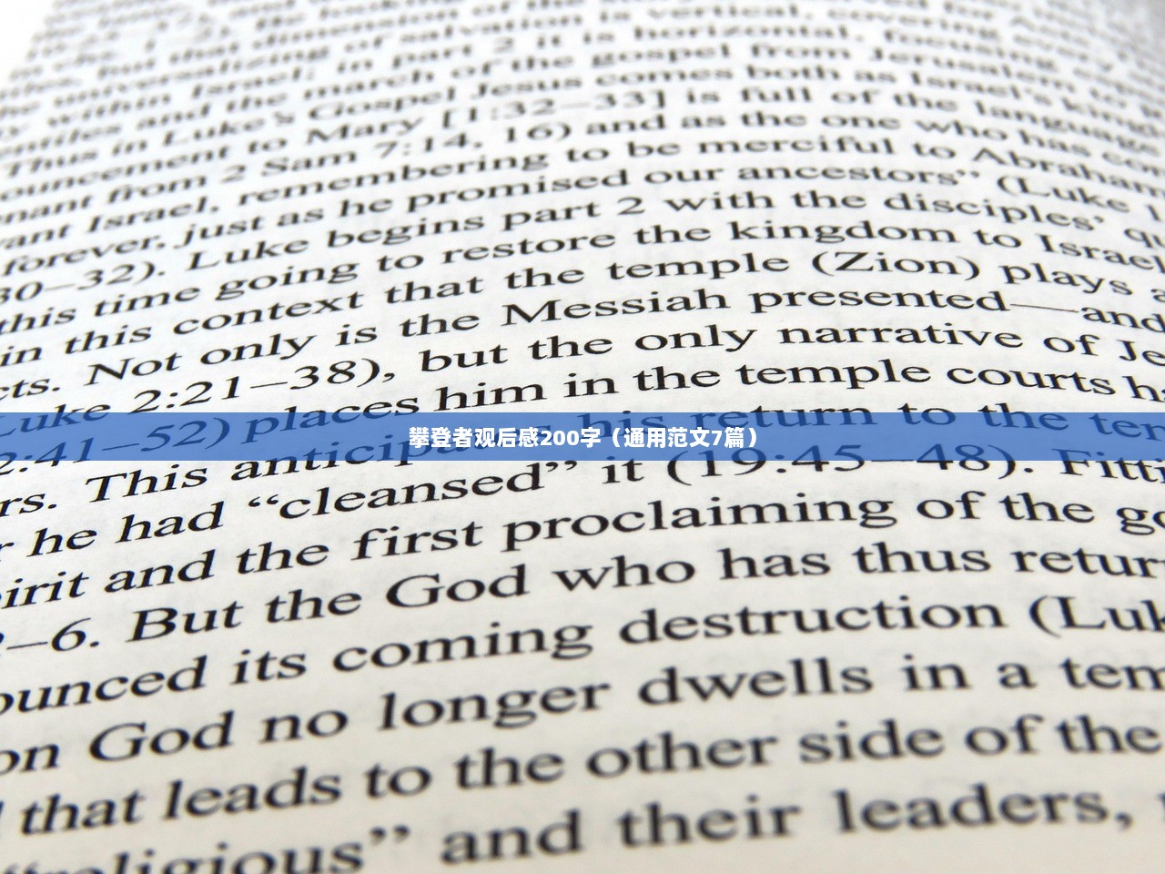 攀登者观后感200字（通用范文7篇）