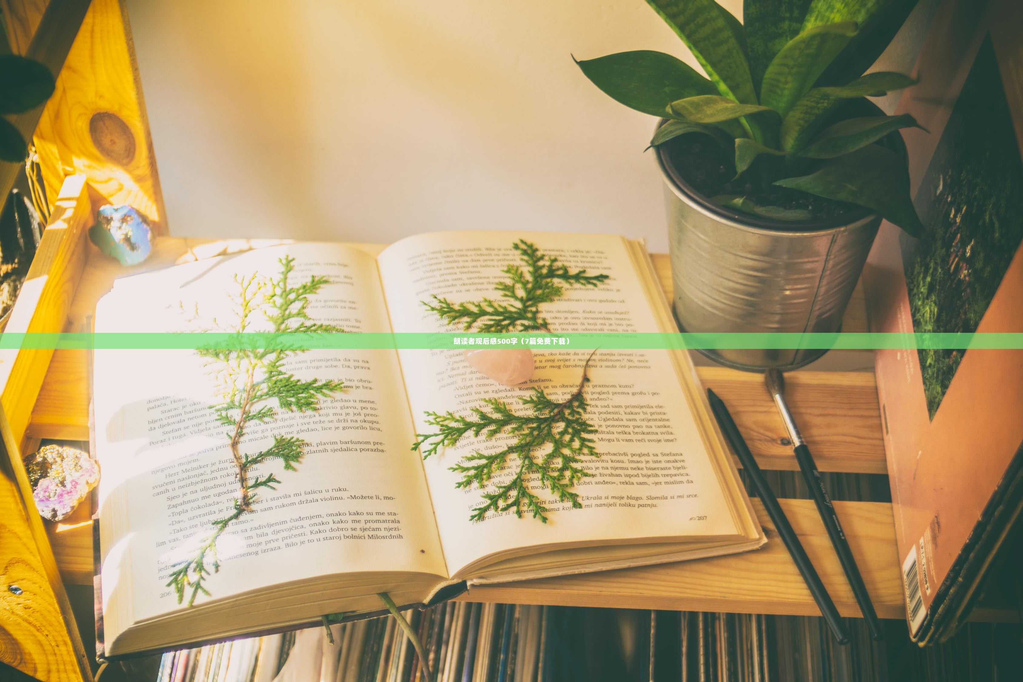 朗读者观后感500字（7篇免费下载）