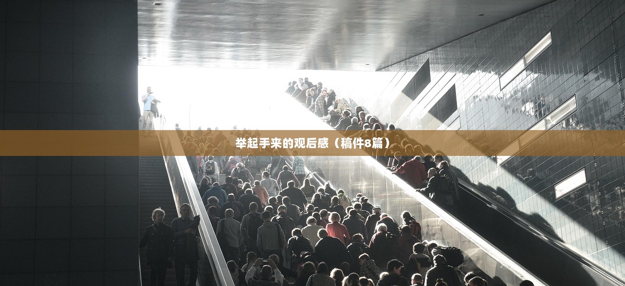 举起手来的观后感（稿件8篇）