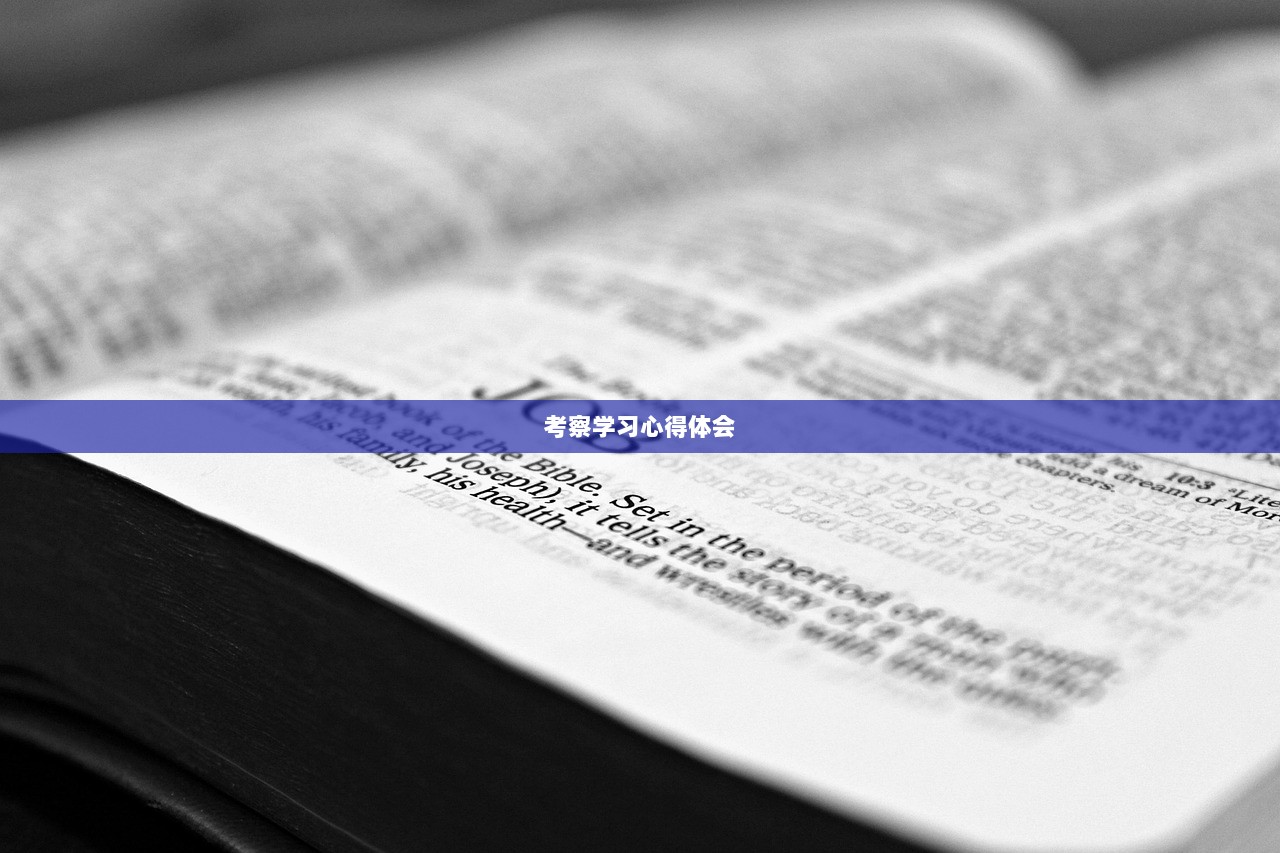 考察学习心得体会