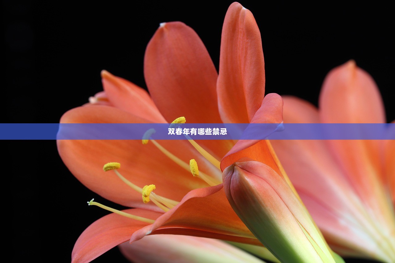 双春年有哪些禁忌