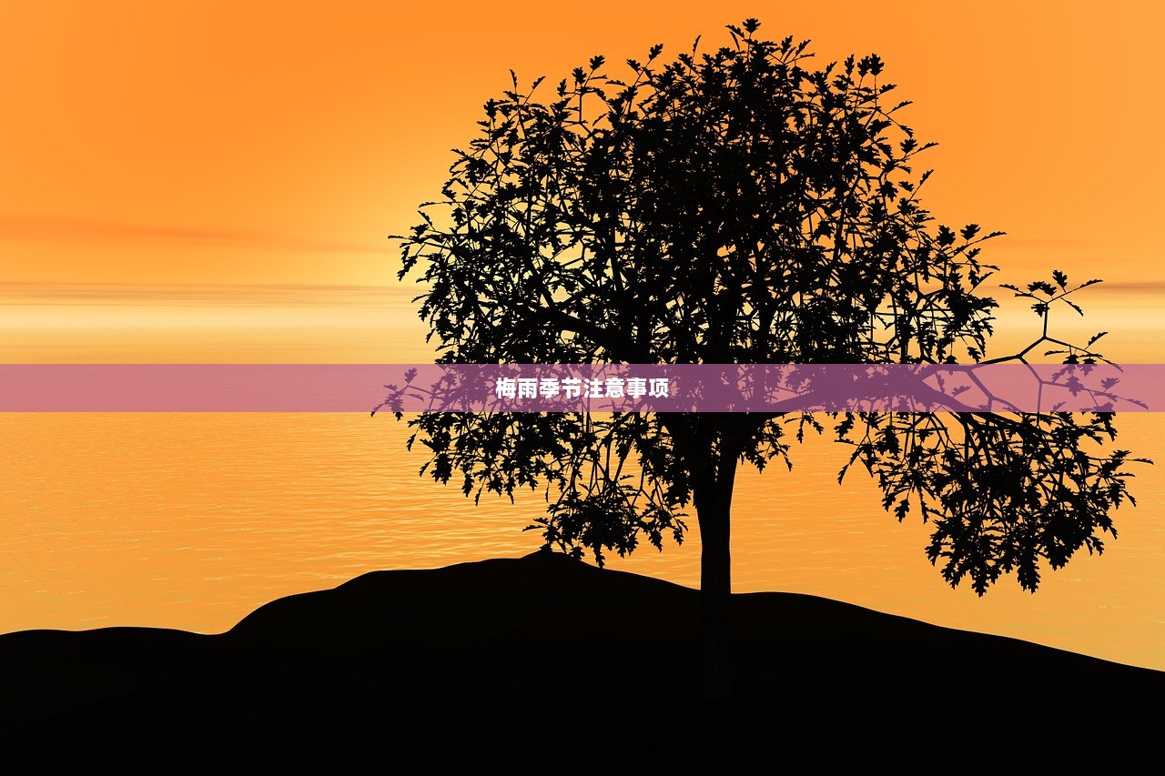 梅雨季节注意事项