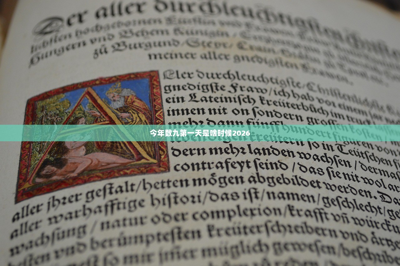 今年数九第一天是啥时候2026