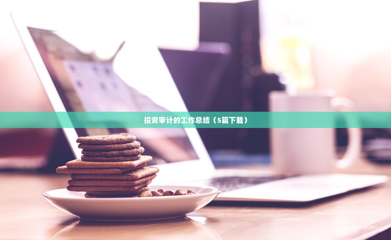 投资审计的工作总结（5篇下载）