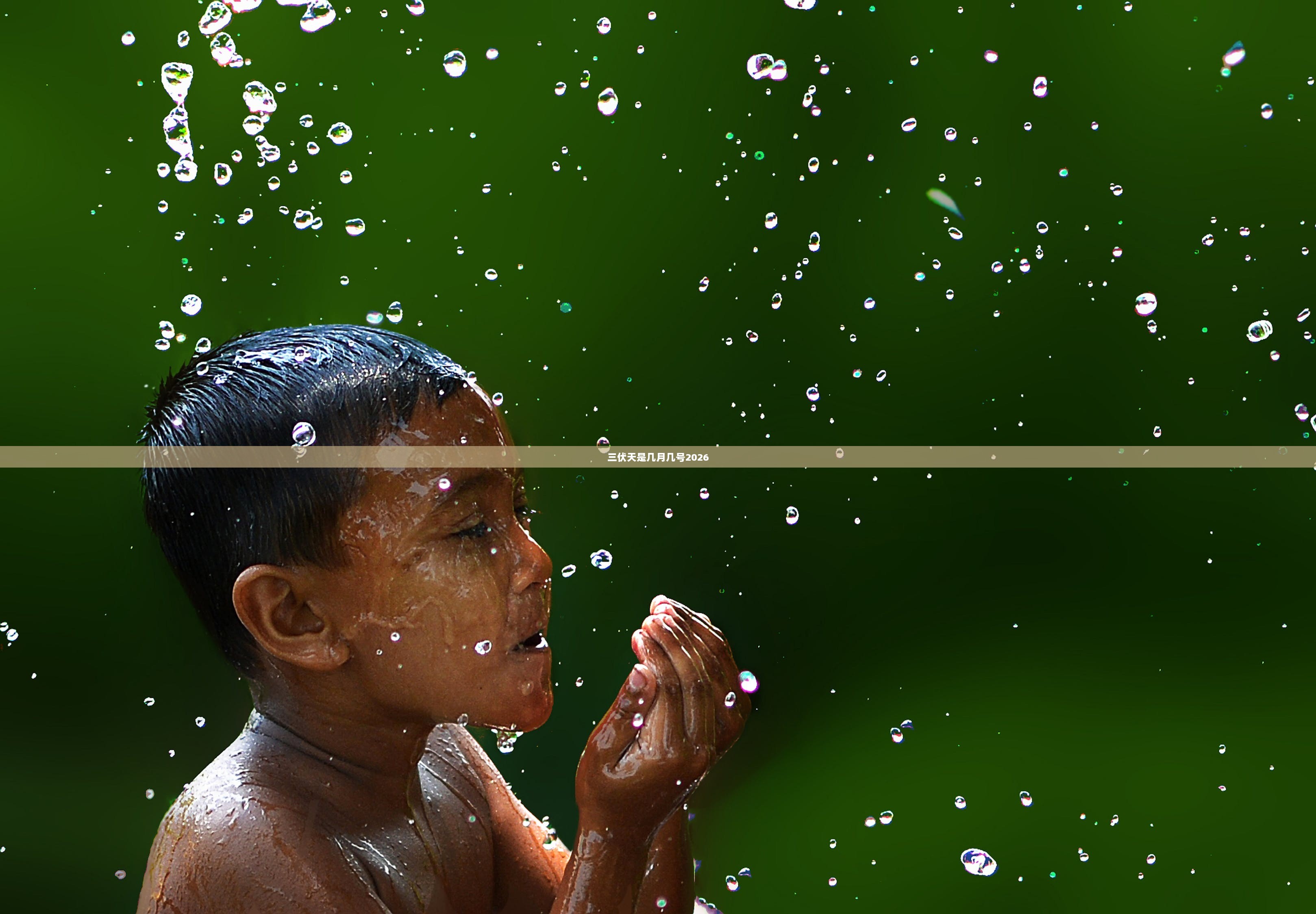 三伏天是几月几号2026