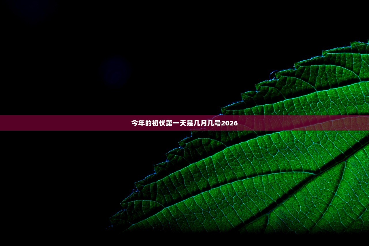 今年的初伏第一天是几月几号2026