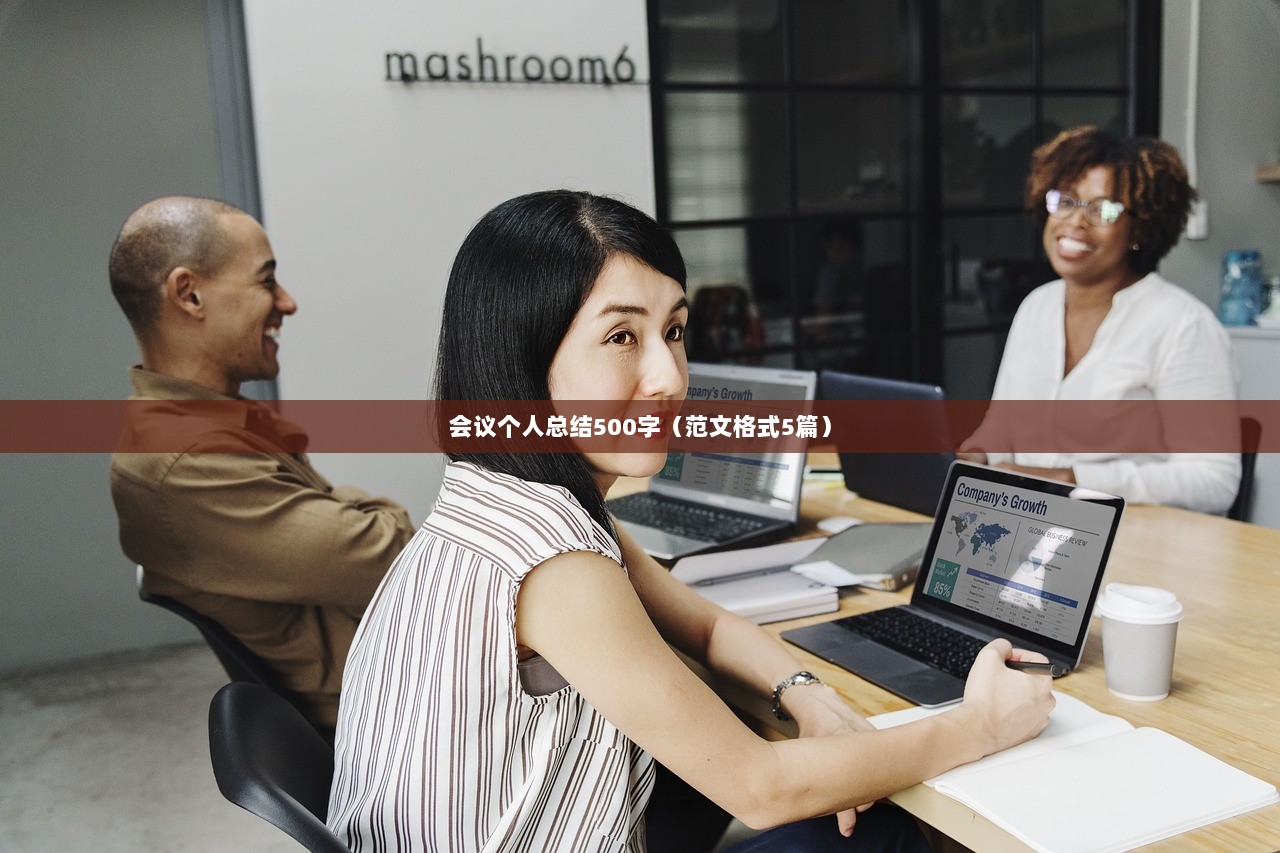 会议个人总结500字（范文格式5篇）