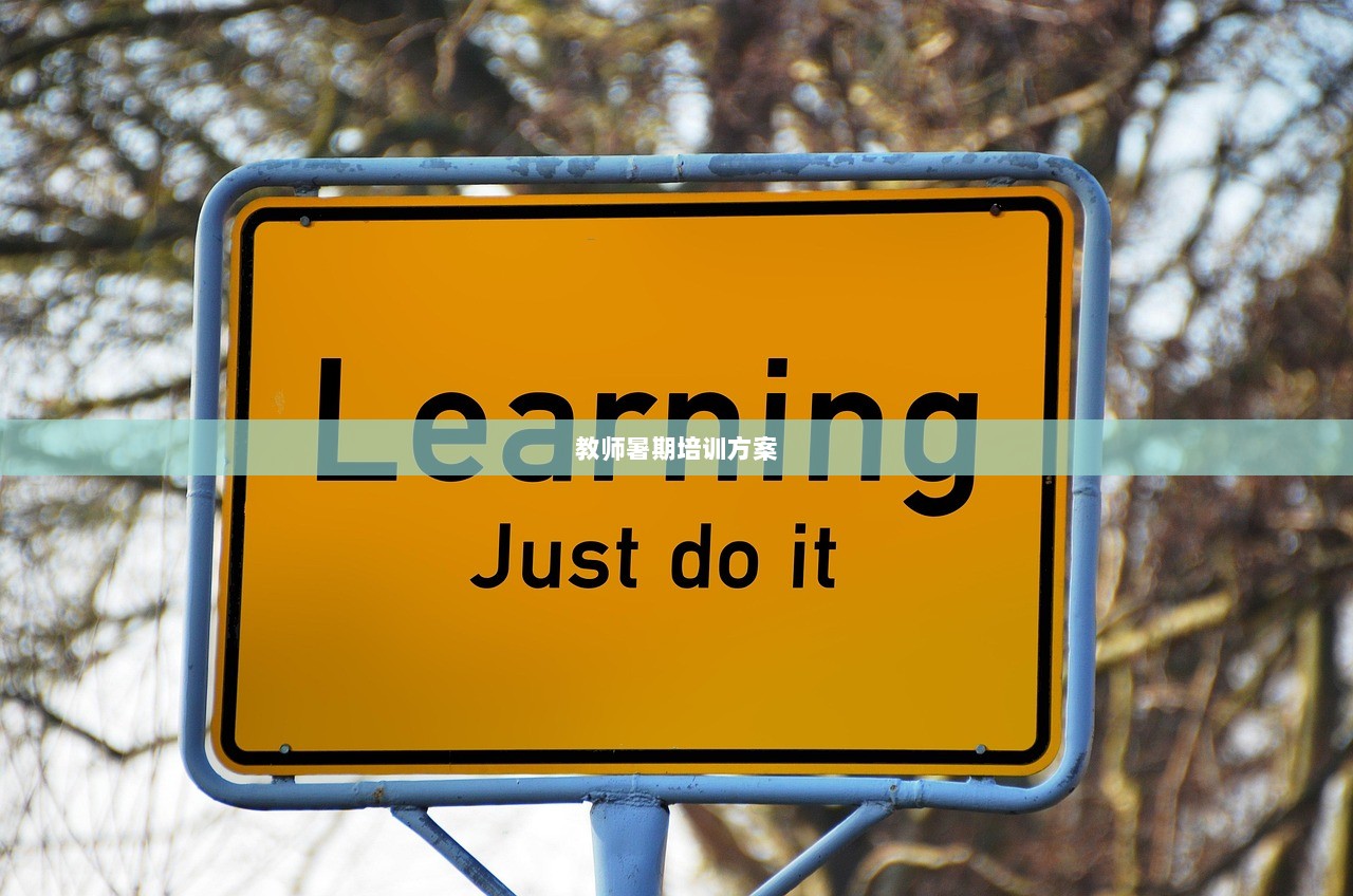 教师暑期培训方案