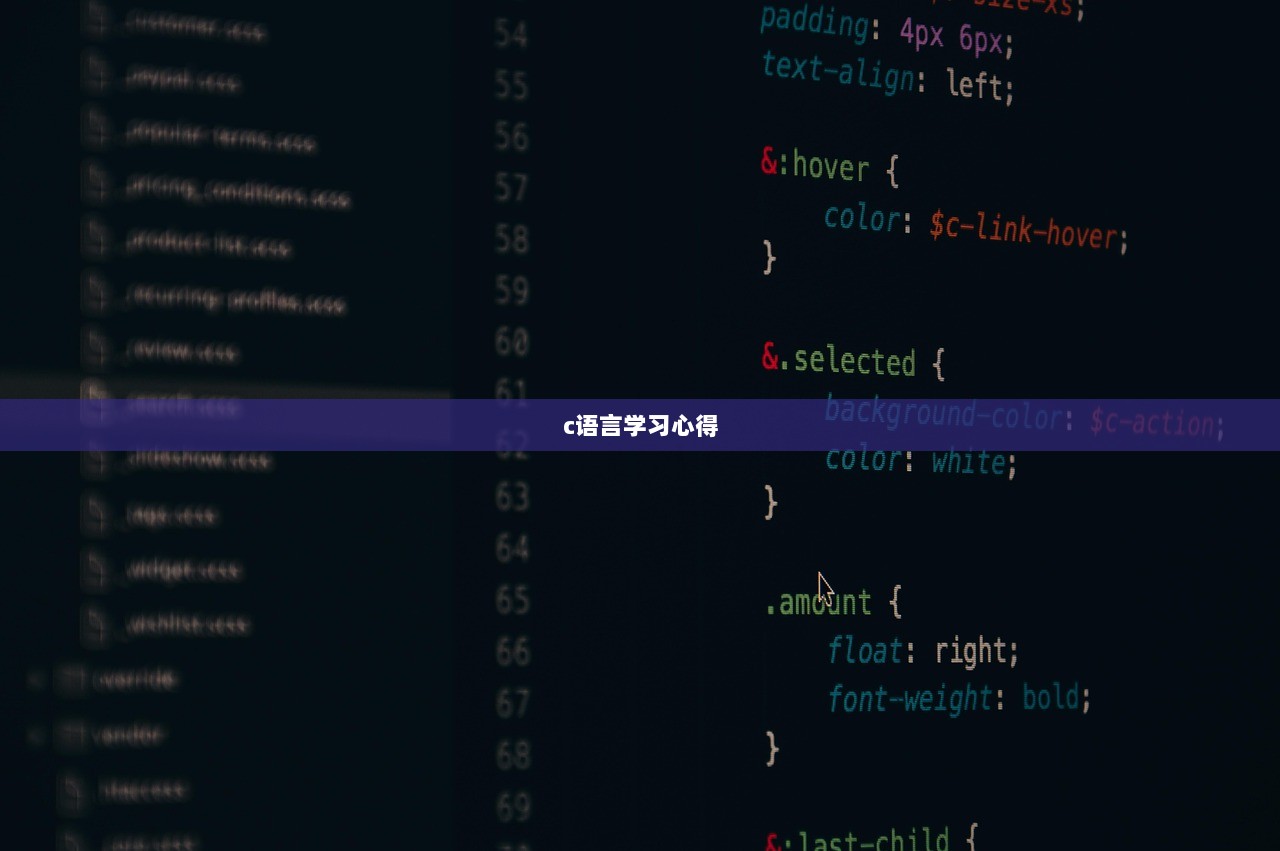 c语言学习心得