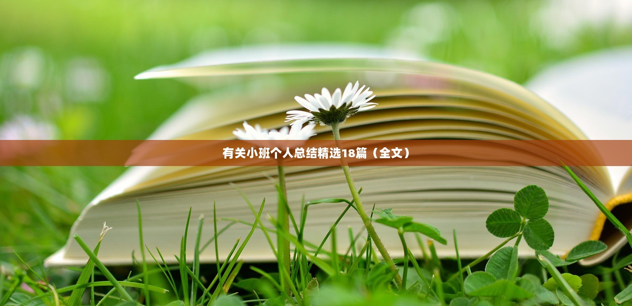 有关小班个人总结精选18篇（全文）