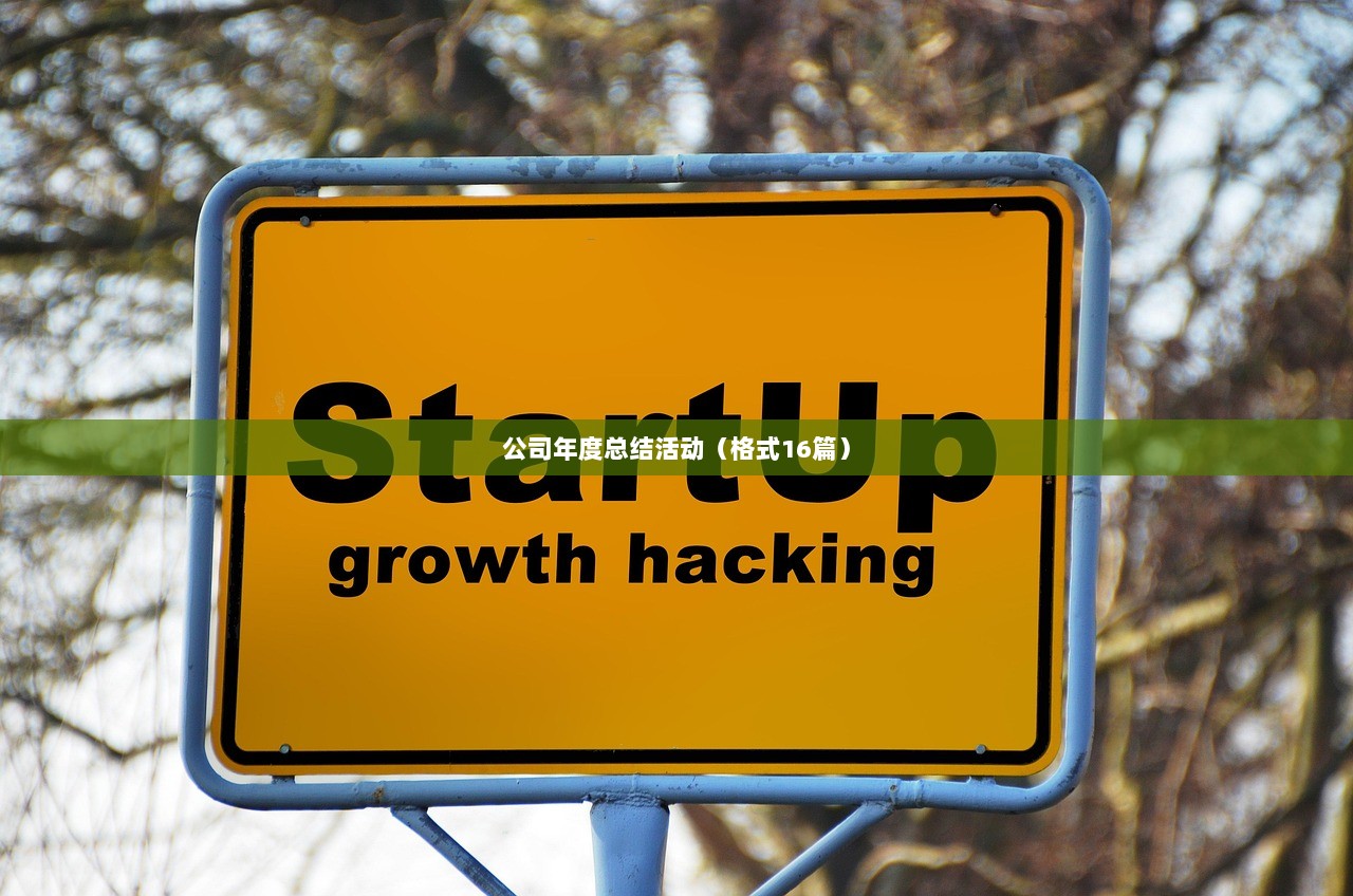 公司年度总结活动（格式16篇）