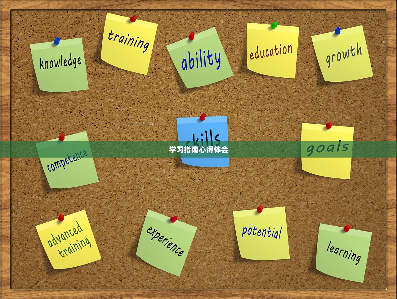 学习指南心得体会