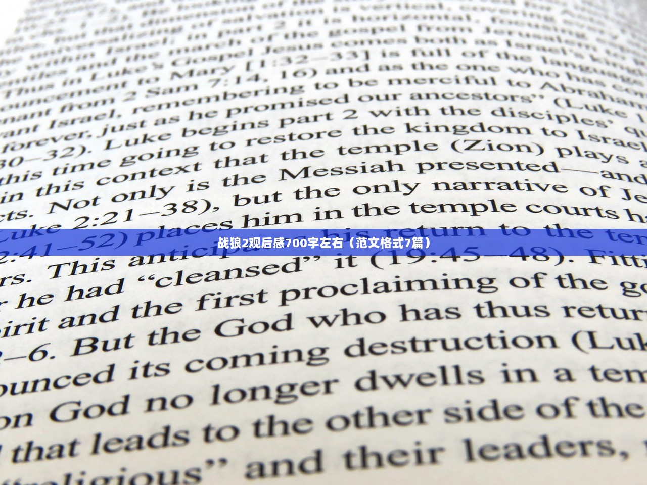 战狼2观后感700字左右（范文格式7篇）