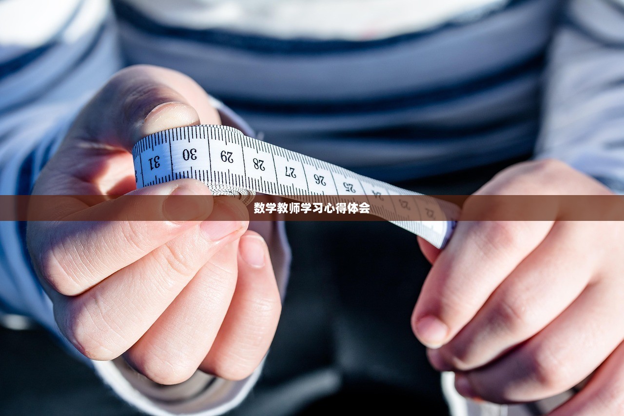 数学教师学习心得体会