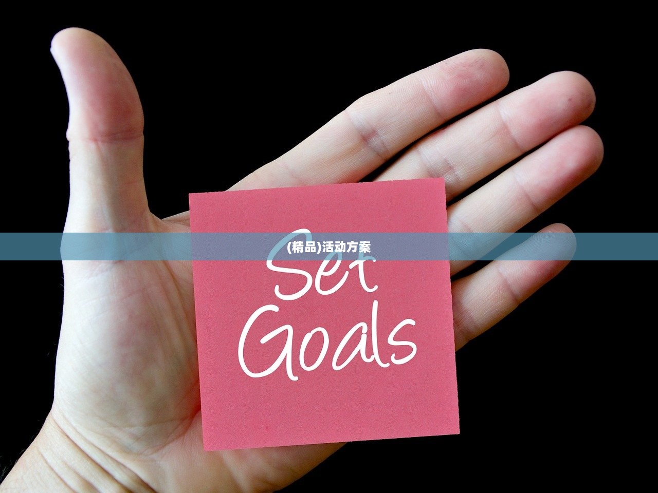 (精品)活动方案