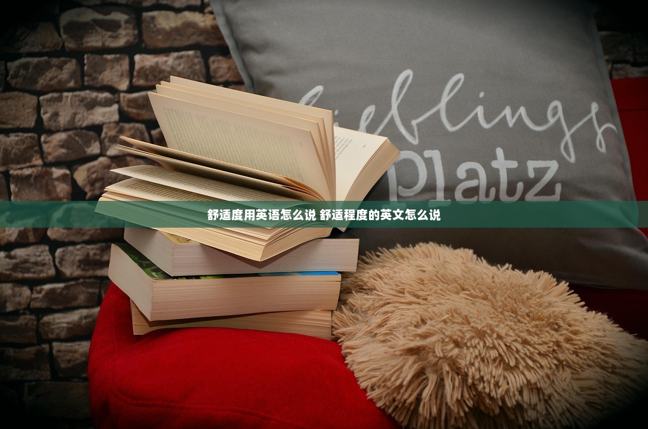 舒适度用英语怎么说 舒适程度的英文怎么说