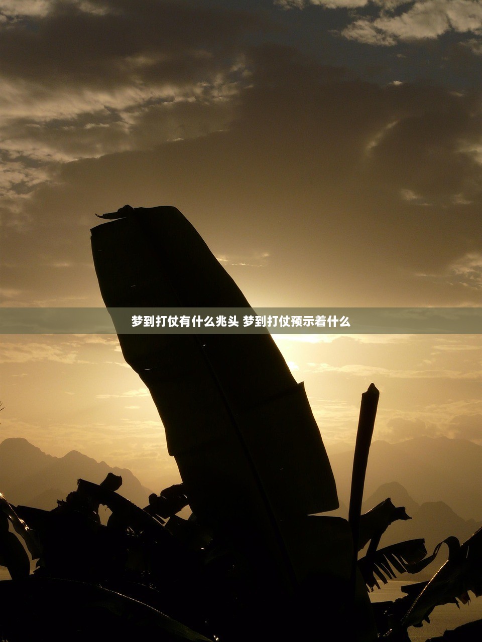 梦到打仗有什么兆头 梦到打仗预示着什么