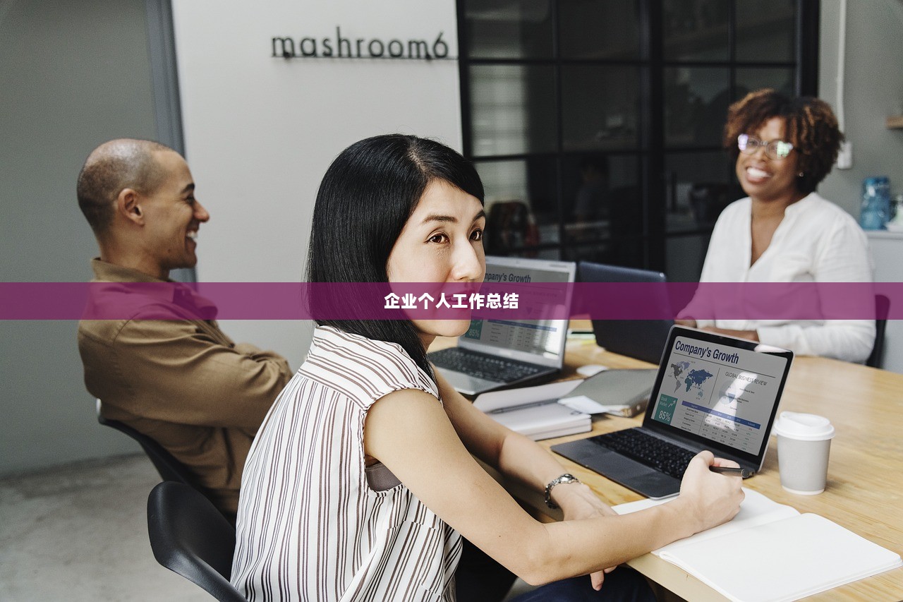 企业个人工作总结