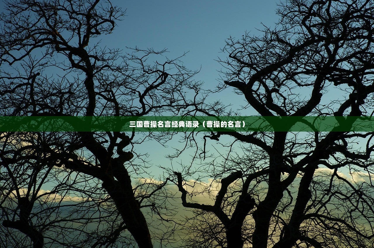 三国曹操名言经典语录(曹操的名言) 第1张 三国曹操名言经典语录(曹操的名言) 第1张
