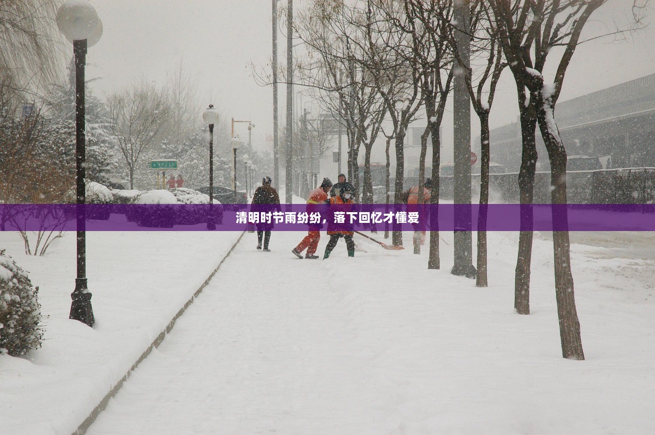 清明时节雨纷纷，落下回忆才懂爱  第1张