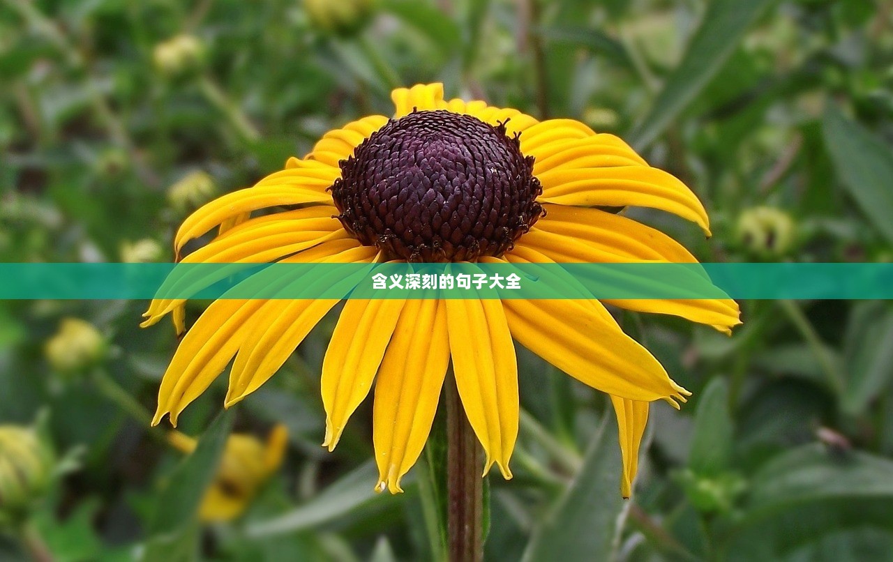 含义深刻的句子大全  第1张