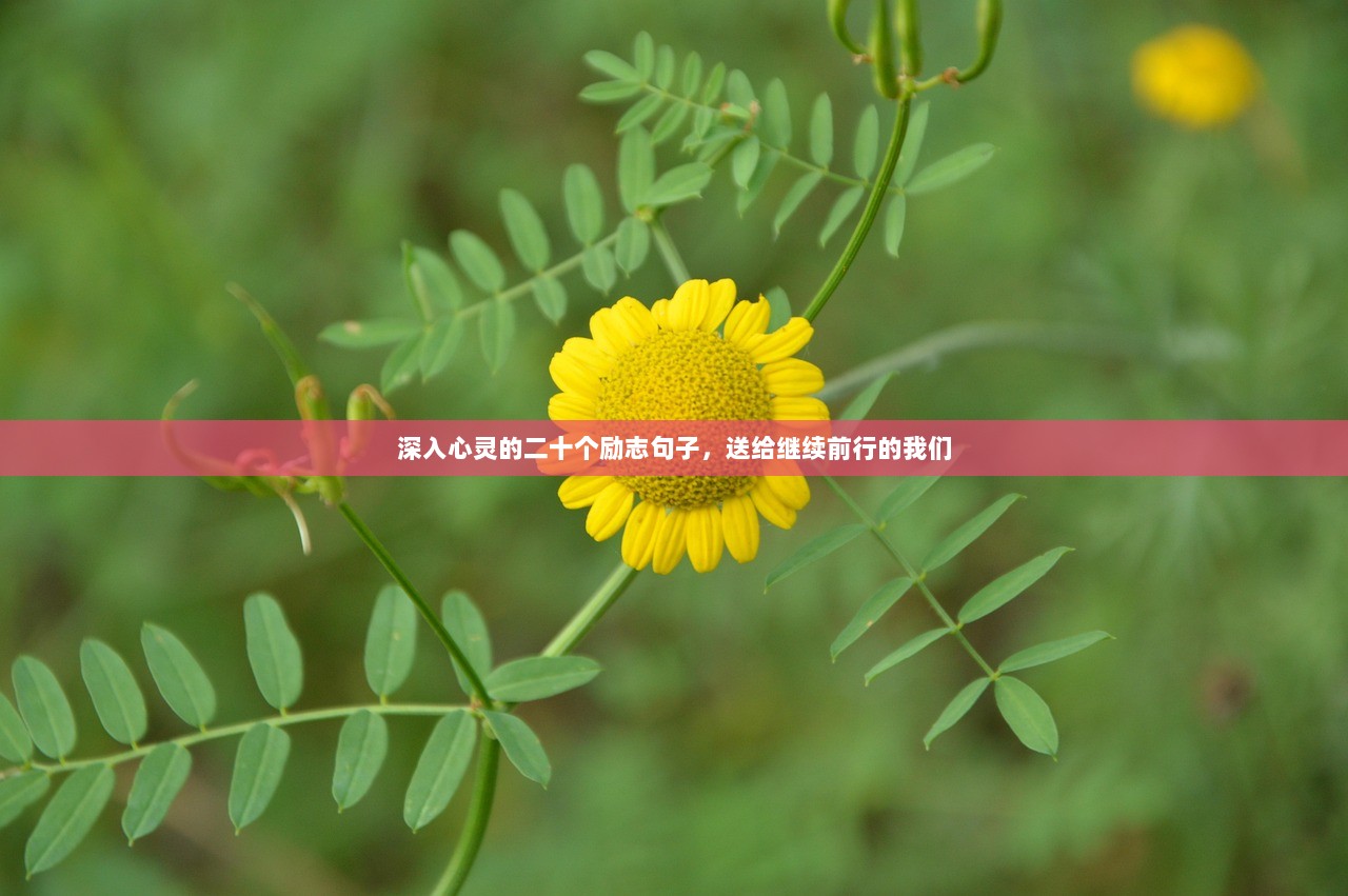 深入心灵的二十个励志句子，送给继续前行的我们  第1张