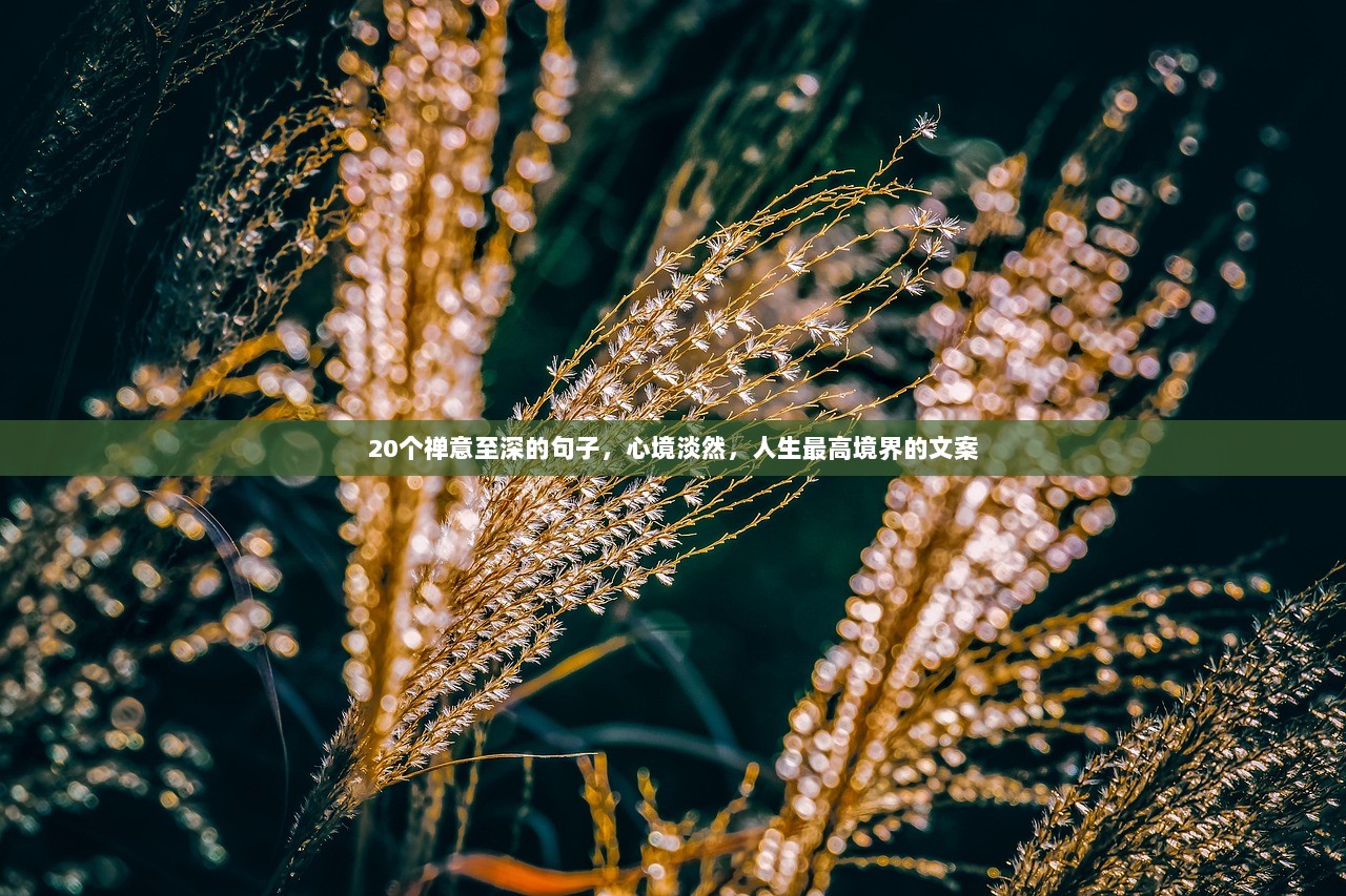 20个禅意至深的句子，心境淡然，人生最高境界的文案  第1张