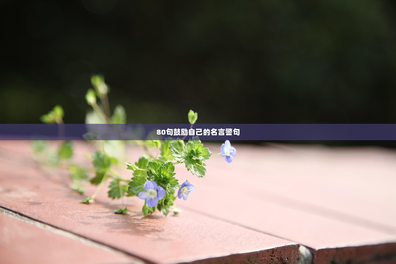 80句鼓励自己的名言警句  第1张