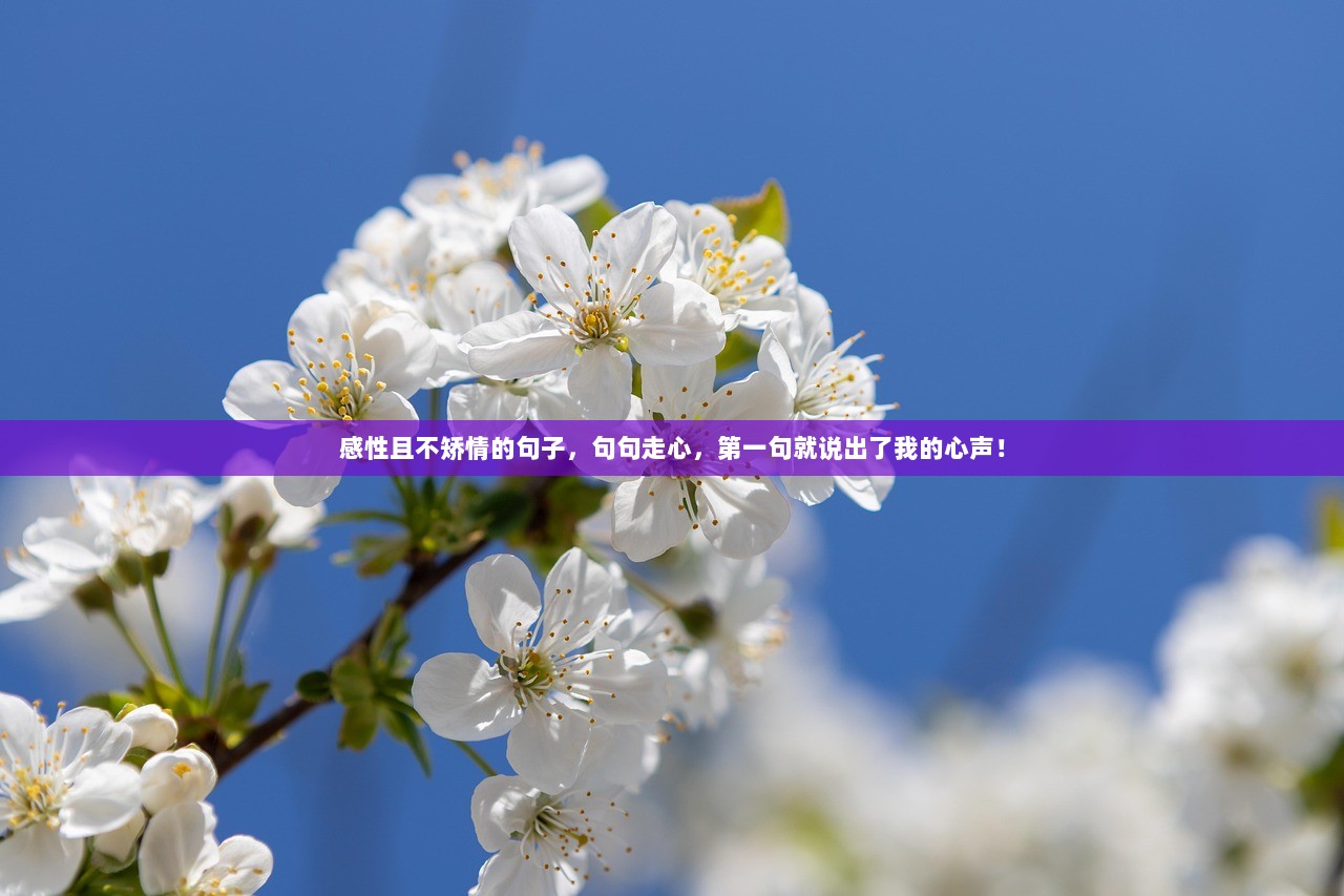 感性且不矫情的句子,句句走心,第一句就说出了我的心声! 第1张 感性且不矫情的句子,句句走心,第一句就说出了我的心声! 第1张