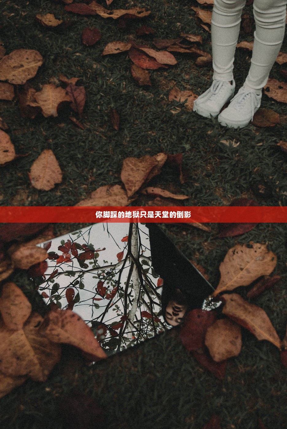 你脚踩的地狱只是天堂的倒影  第1张