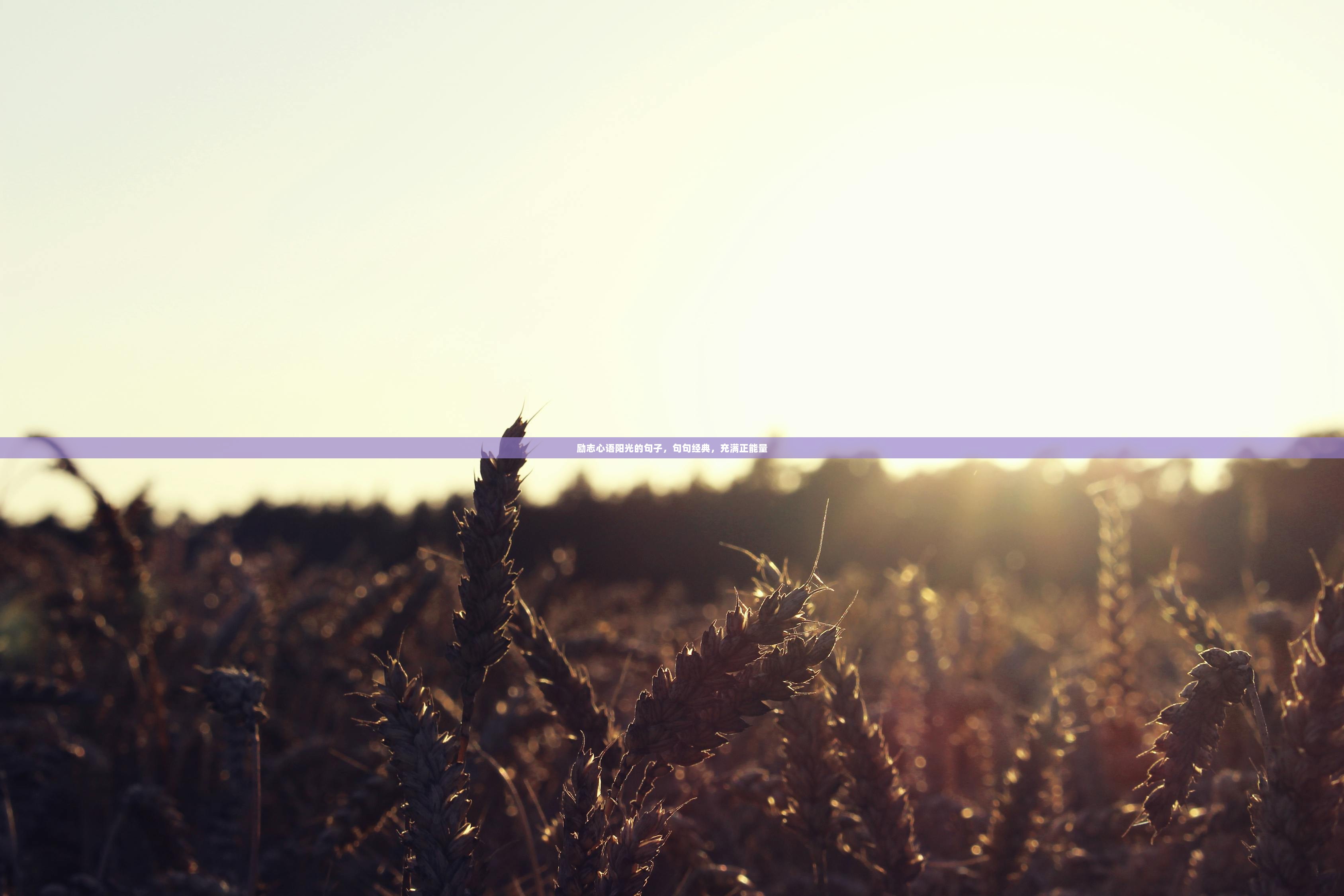 励志心语阳光的句子，句句经典，充满正能量  第1张