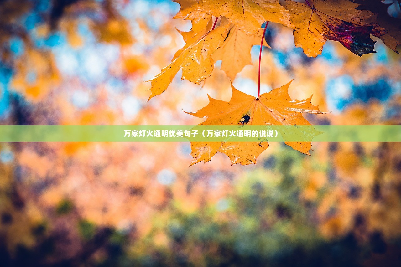 万家灯火通明优美句子（万家灯火通明的说说）  第1张