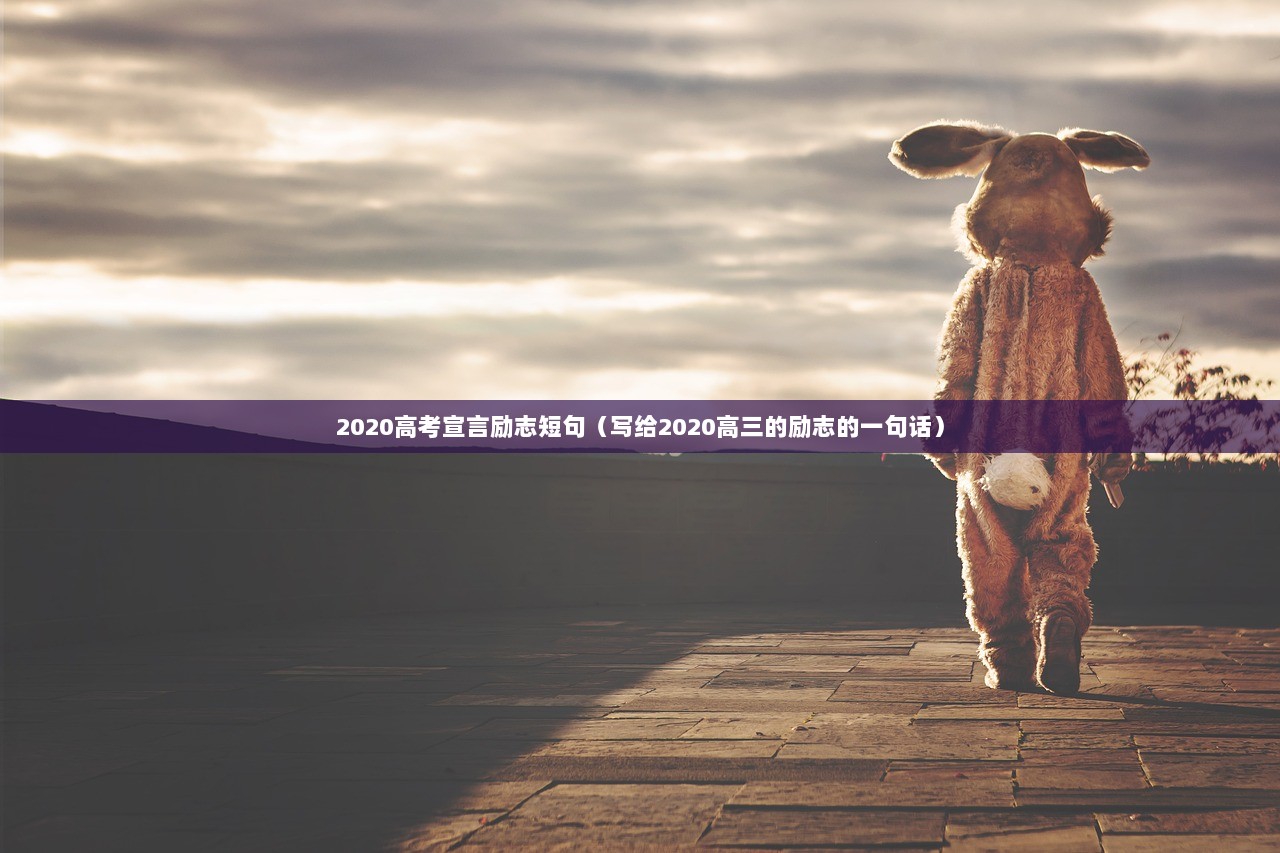 2020高考宣言励志短句（写给2020高三的励志的一句话）  第1张