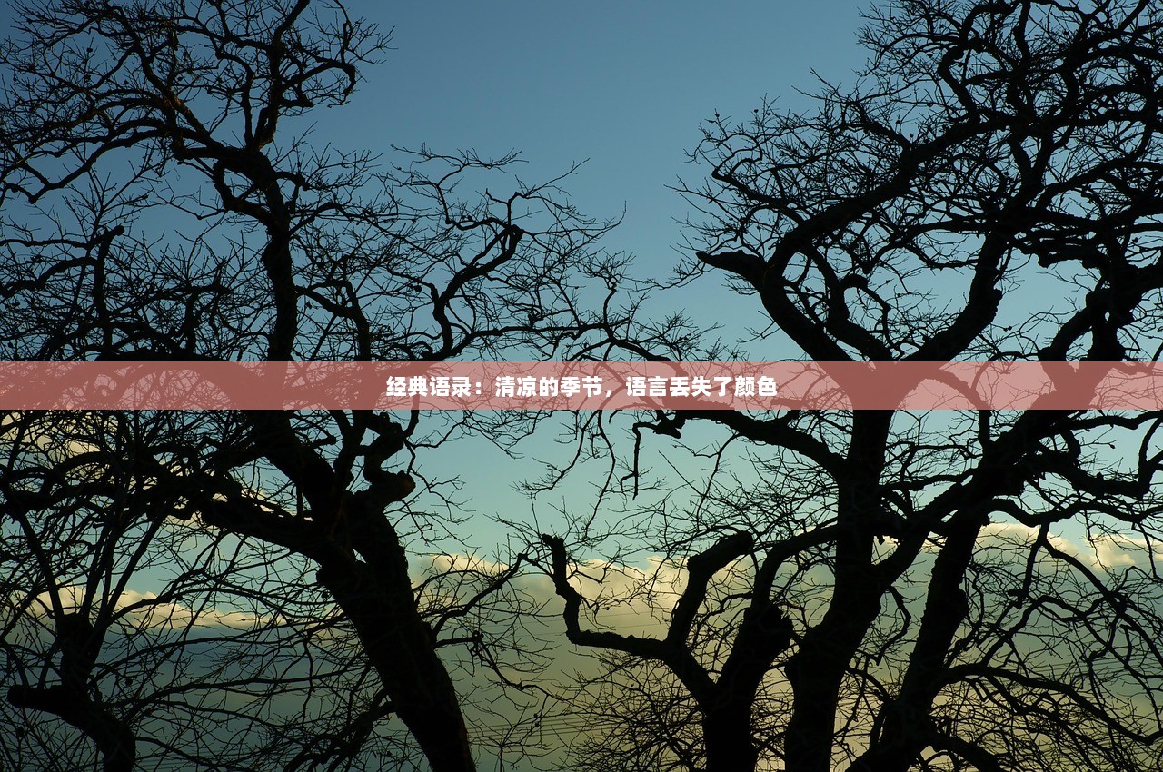 经典语录：清凉的季节，语言丢失了颜色  第1张