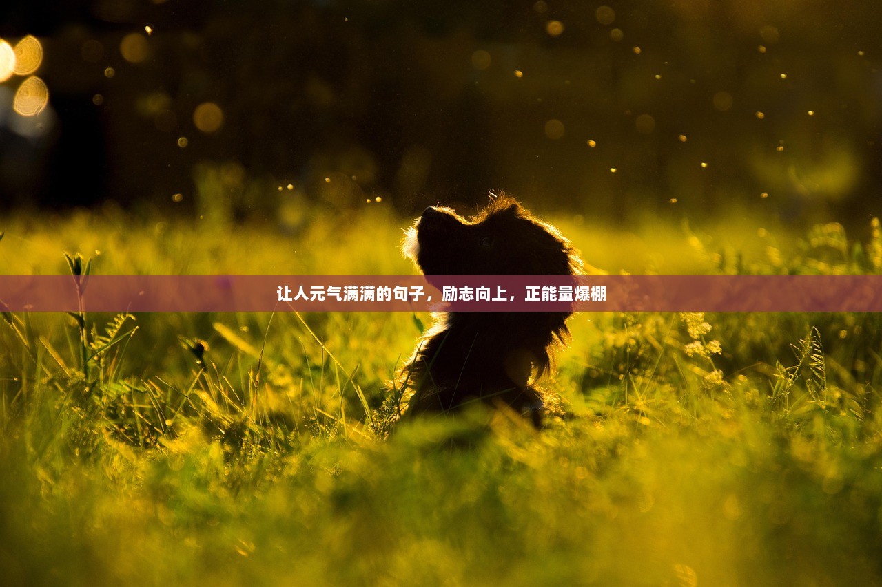 让人元气满满的句子，励志向上，正能量爆棚  第1张