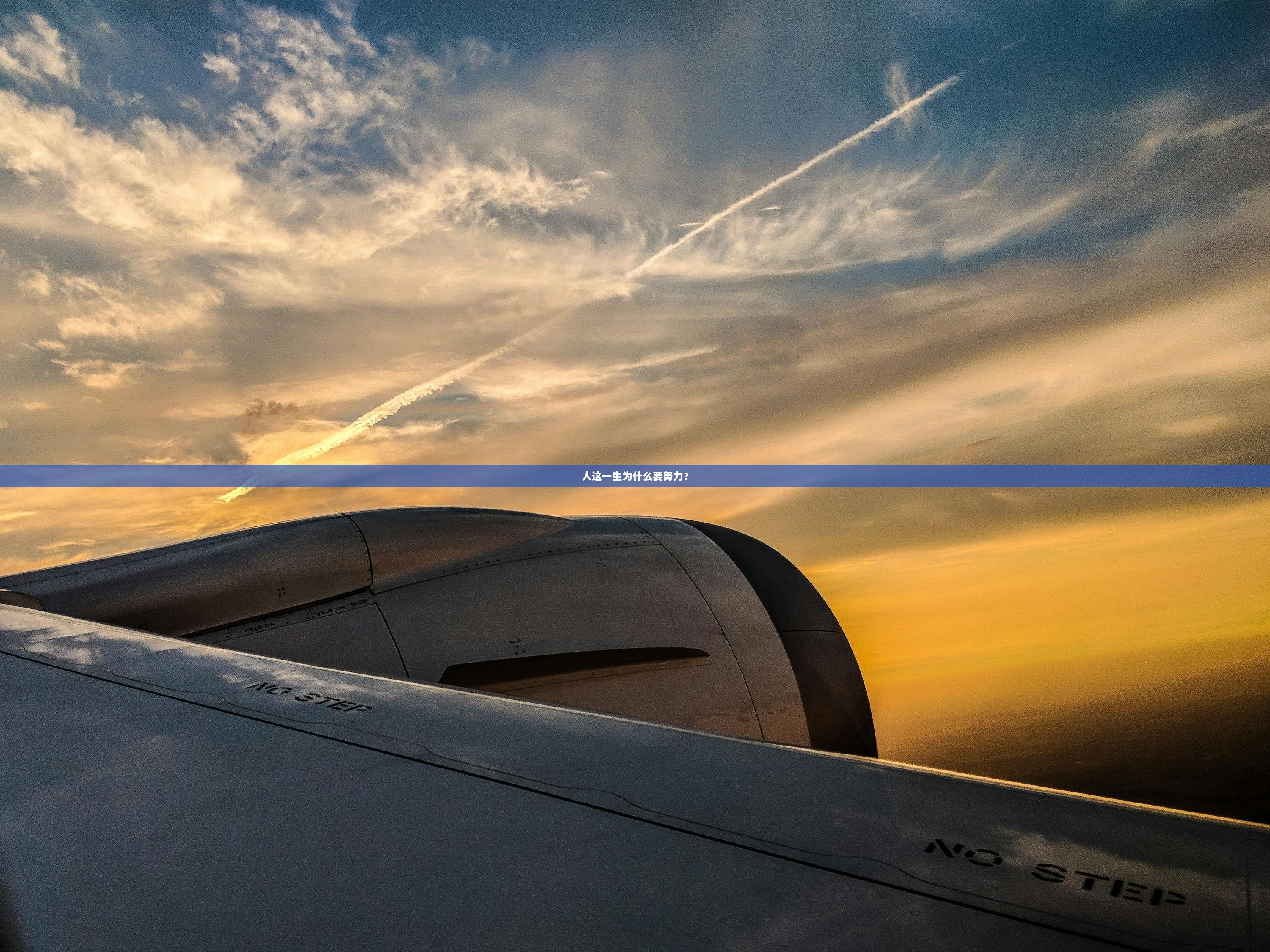 人这一生为什么要努力？  第1张