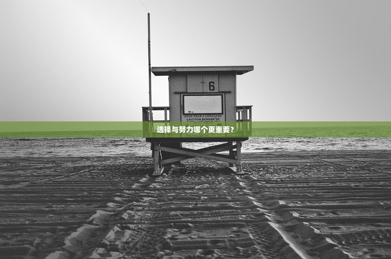 选择与努力哪个更重要？  第1张