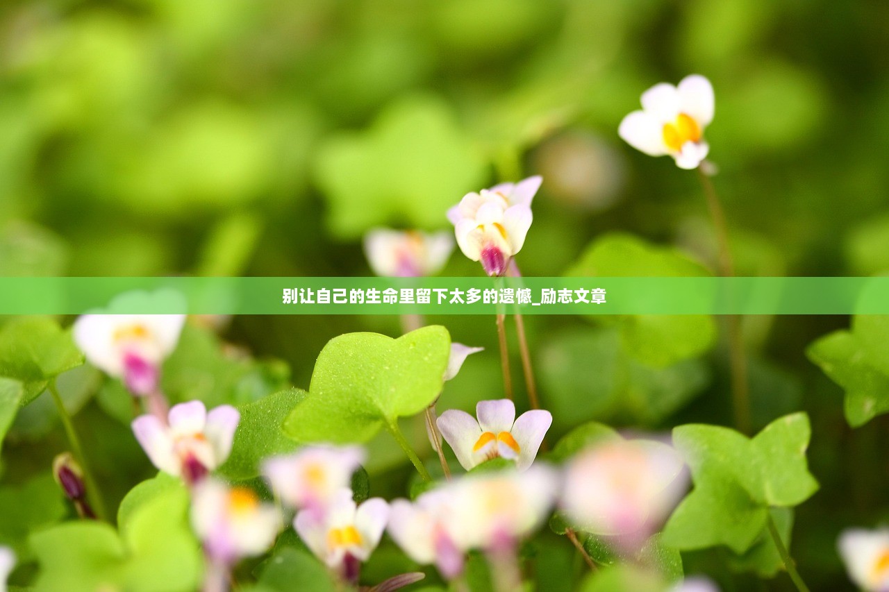 别让自己的生命里留下太多的遗憾_励志文章  第1张