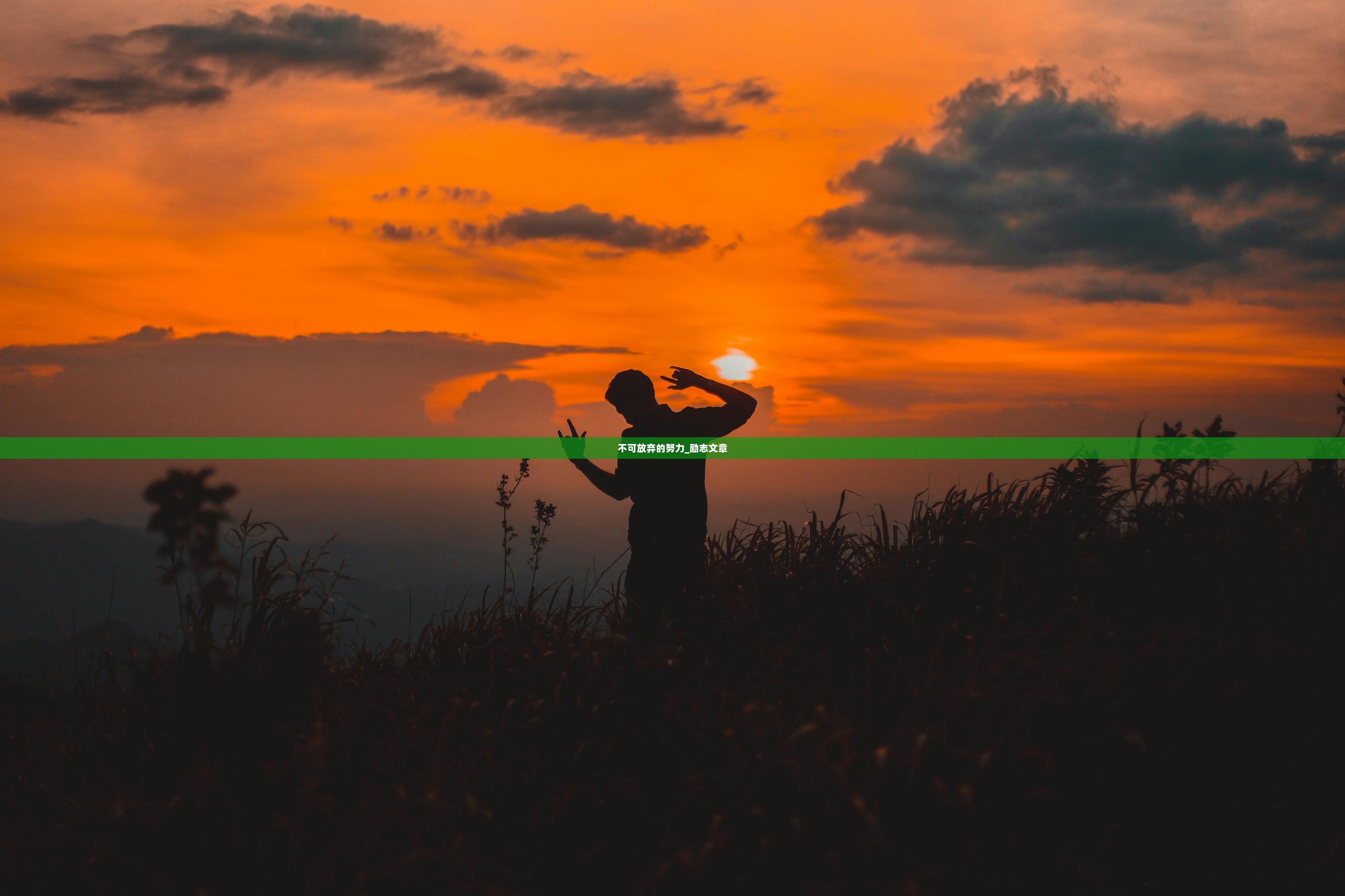 不可放弃的努力_励志文章