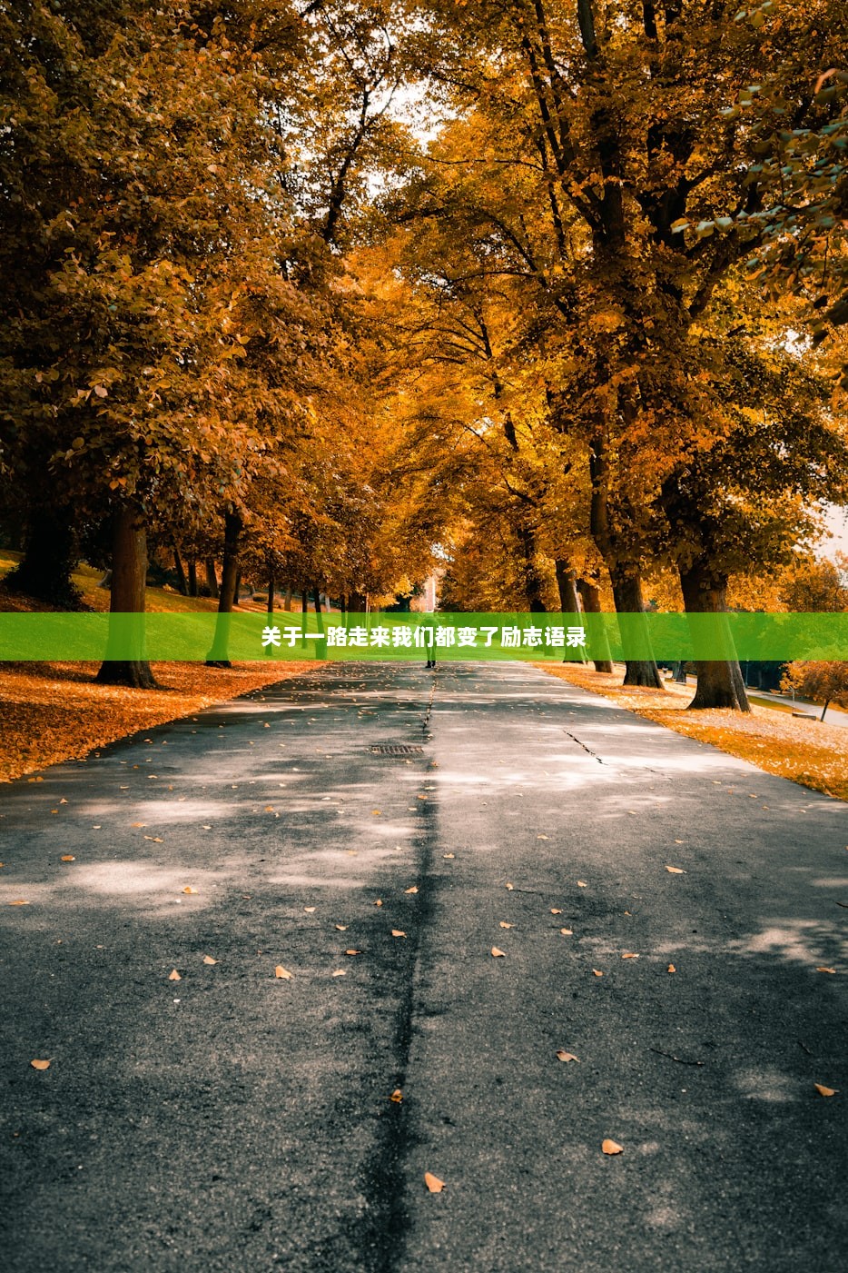 关于一路走来我们都变了励志语录 第1张 关于一路走来我们都变了励志语录 第1张