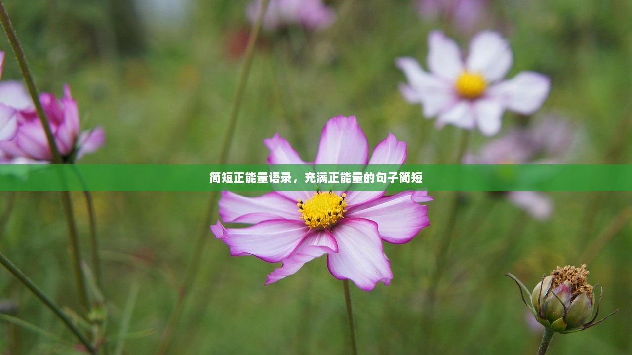 简短正能量语录，充满正能量的句子简短