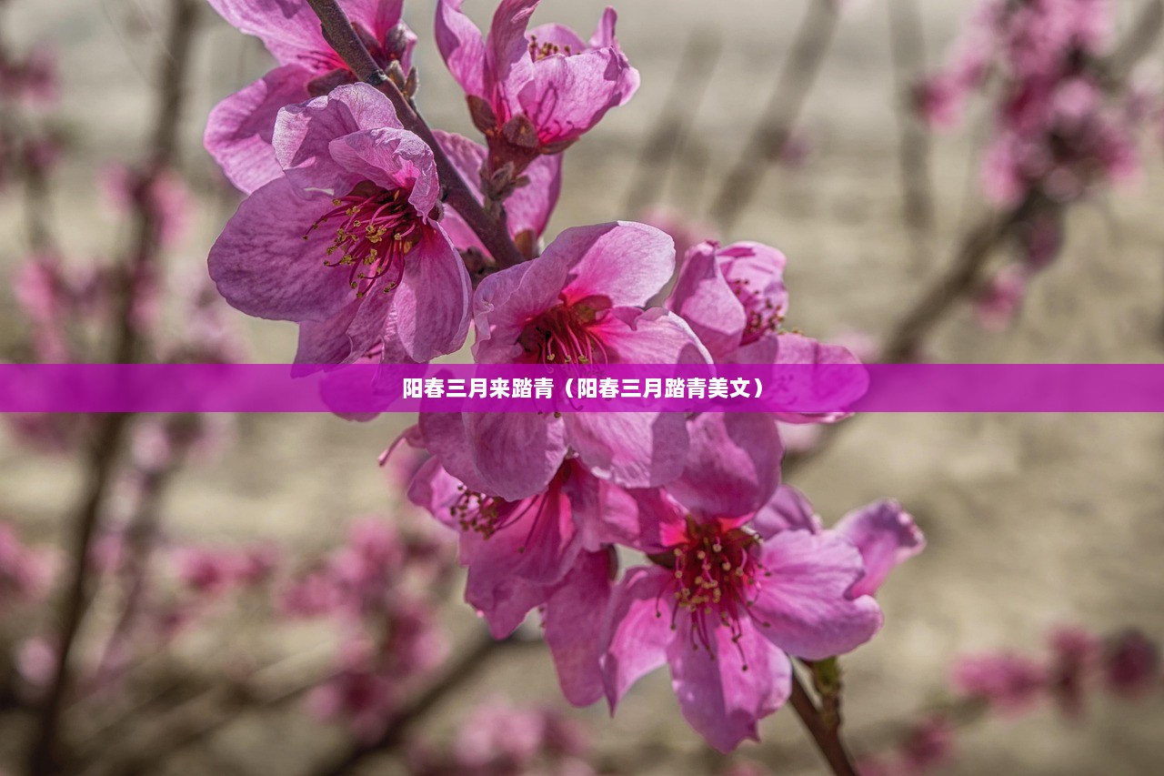 阳春三月来踏青（阳春三月踏青美文）