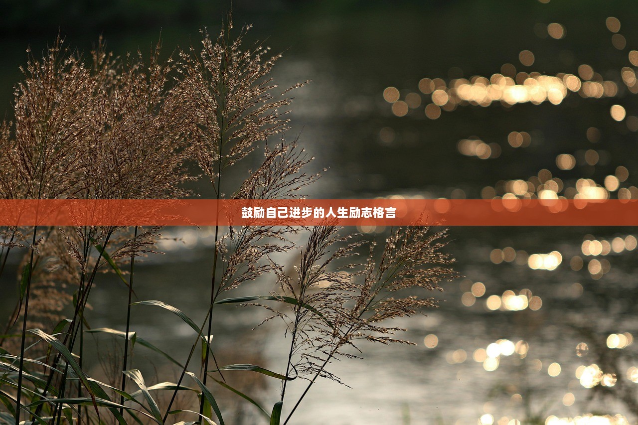 鼓励自己进步的人生励志格言