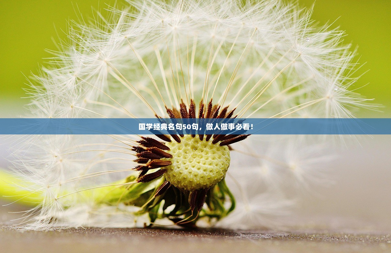 国学经典名句50句，做人做事必看！