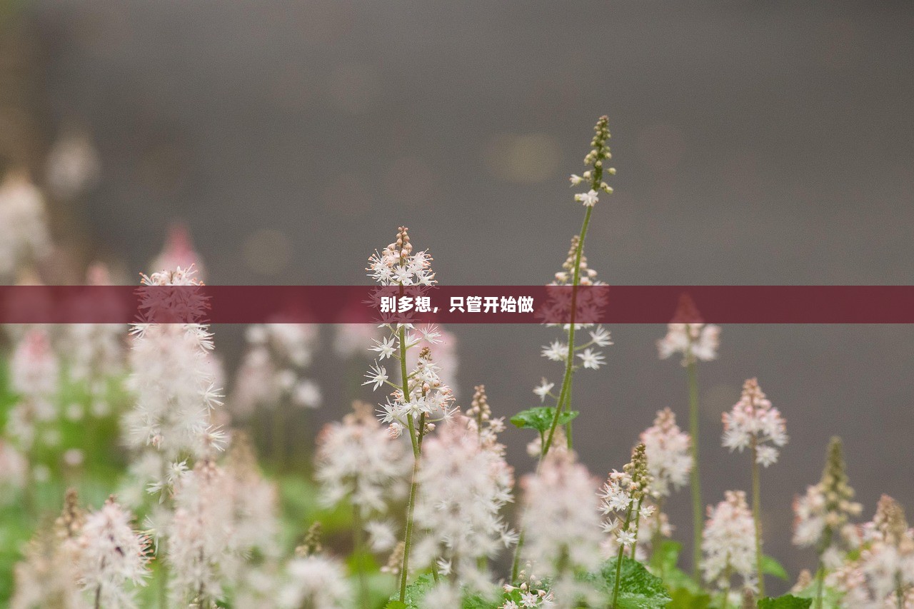 别多想，只管开始做