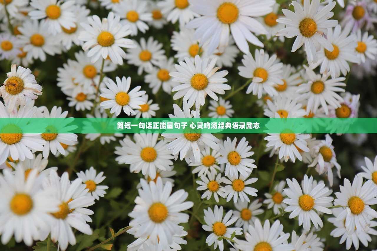 简短一句话正能量句子 心灵鸡汤经典语录励志