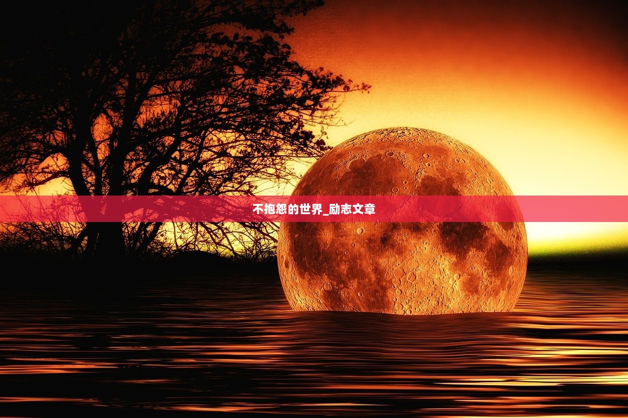 不抱怨的世界_励志文章