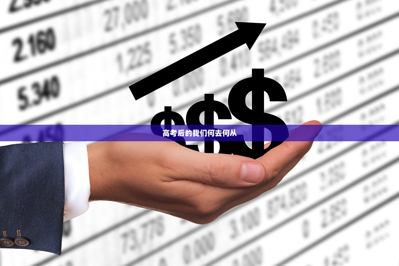 高考后的我们何去何从