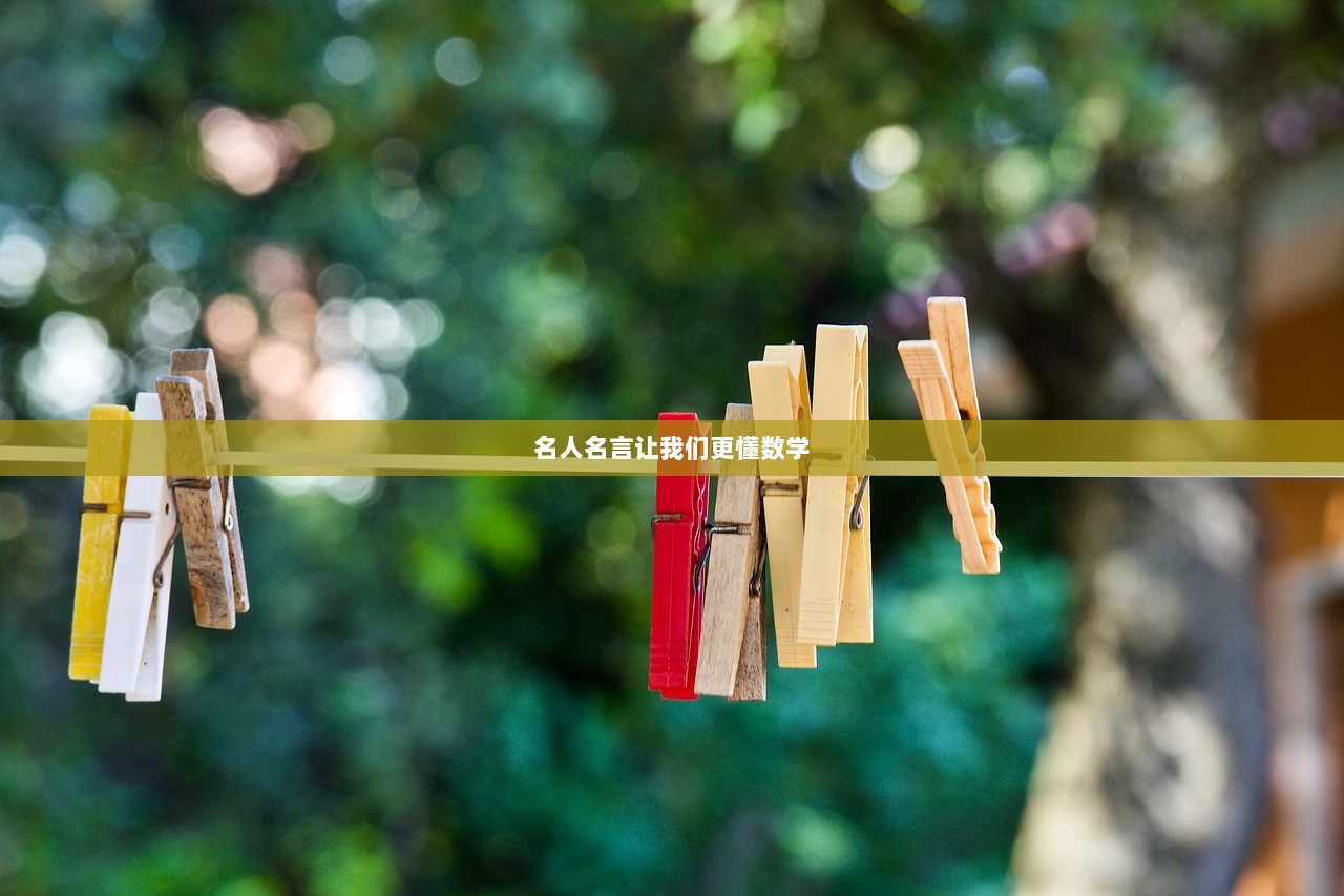 名人名言让我们更懂数学