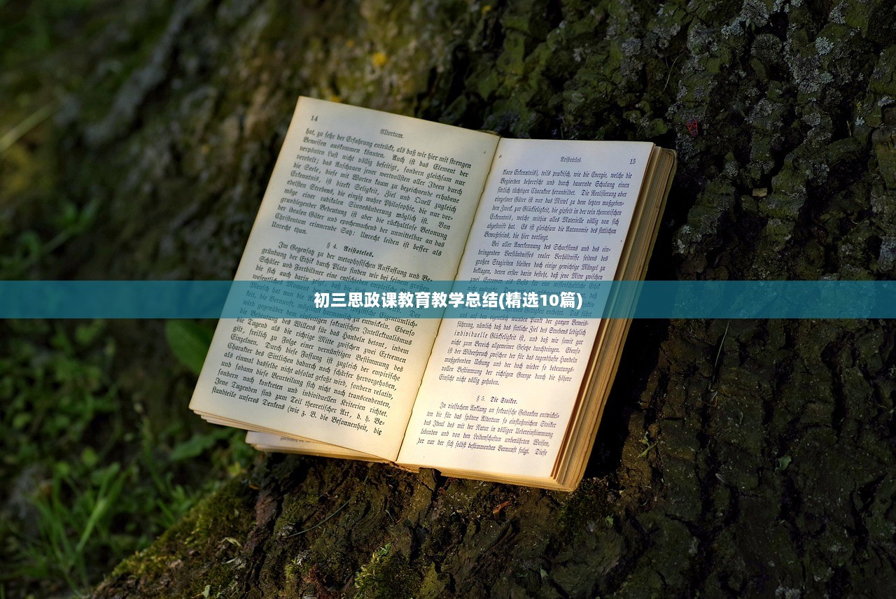 初三思政课教育教学总结(精选10篇)